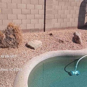 Leaf Removal by Wards lawn care reviewed on July 7, 2022
