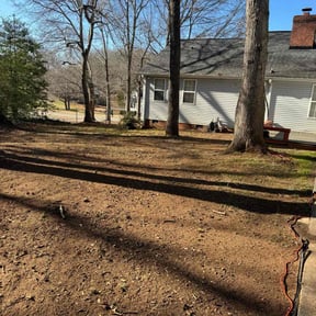 Leaf Removal by Nature Baby's Lawn Maitenace reviewed on March 30, 2022