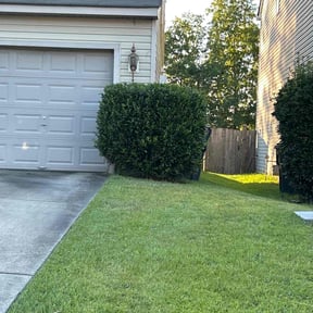Bush Trimming by J Deese lawn services reviewed on July 26, 2022