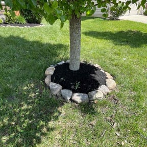 Mulching by C&Z Contracting LLC reviewed on May 27, 2022