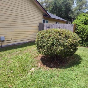 Bush Trimming by Aaa Lawn and Landscape reviewed on May 2, 2022