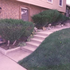 Bush Trimming by Wright Way reviewed on March 30, 2022