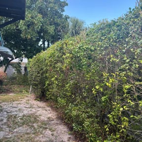 Bush Trimming by Brooks lawn Care reviewed on October 8, 2021