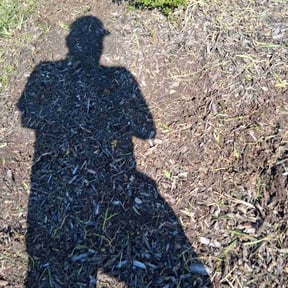 Weeding by Mabin Lawn Service reviewed on January 4, 2025