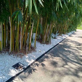 Cleanups by The Green Guy Lawn Care LLC reviewed on August 4, 2022