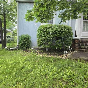 Bush Trimming by Chango Landscapes reviewed on June 29, 2022