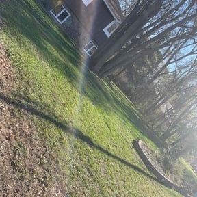 Leaf Removal by Dels Mow, Blow, and snow removal reviewed on July 7, 2025