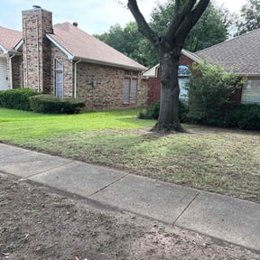 Leaf Removal by Right Lawn Care reviewed on June 21, 2022
