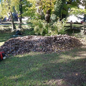 Cleanups by Cole lawn sevice reviewed on May 17, 2022
