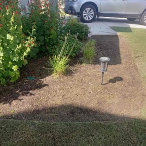 Flower Bed Weeding by Outback Landscapes reviewed on July 15, 2025