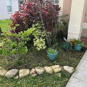 Flower Bed Weeding by Efrain Marrero reviewed on January 31, 2025