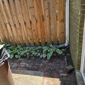 Cleanups by Discount Mowing reviewed on August 3, 2020