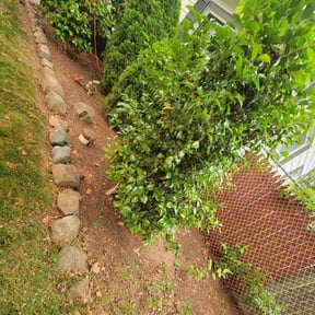 Cleanups by TruGreen LawnCare reviewed on July 18, 2025