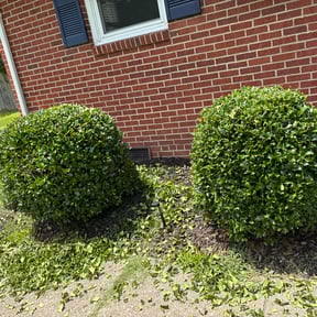 Bush Trimming by Leisure lawns reviewed on July 28, 2022