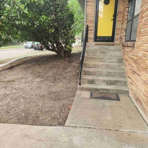 Leaf Removal by LSLTDallas/FortWorthTruGreen reviewed on November 8, 2024