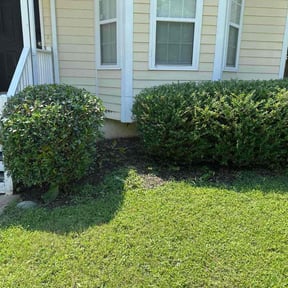 Bush Trimming by Hedge Hoggard Landscaping reviewed on November 13, 2022