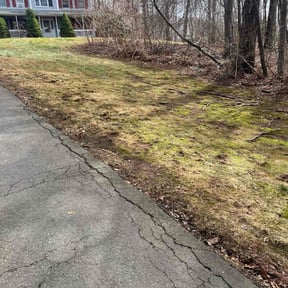 Leaf Removal by Hargett lawn services reviewed on November 26, 2021