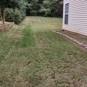 Leaf Removal by Cutting up Lawn and Tree Care reviewed on August 20, 2024