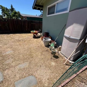 Weed Pulling by Aee handymany services reviewed on November 30, 2024