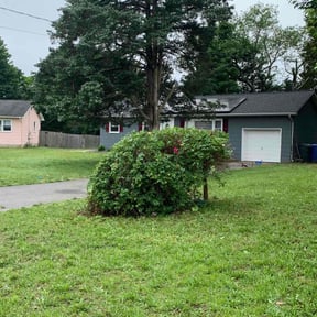 Bush Trimming by TNT landscape llc reviewed on May 16, 2022
