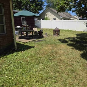 Cleanups by Nextdoor Lawn Services LLC reviewed on August 15, 2023