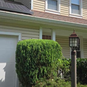 Bush Trimming by Lawn services JAV reviewed on November 20, 2024