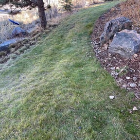 Leaf Removal by Golden Acres Lawn Care reviewed on April 15, 2022