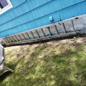 Leaf Removal by Transit LLC reviewed on September 8, 2020
