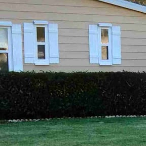 Bush Trimming by BBCNP Services reviewed on August 28, 2024