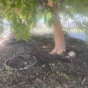 Leaf Removal by Hauling & Lawn Bros reviewed on April 15, 2025