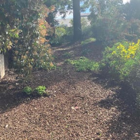 Cleanups by A&J Clean Cut Lawn Care LLC reviewed on June 20, 2022