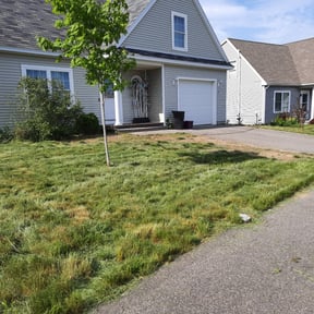 Landscaping by LBF &Jay's lawn /free scrap removal services reviewed on November 4, 2020