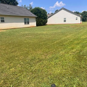 Bush Trimming by One Kool Kat Lawn Care reviewed on June 1, 2022