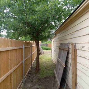 Bush Trimming by Ariel and daddy lawn care reviewed on April 16, 2022