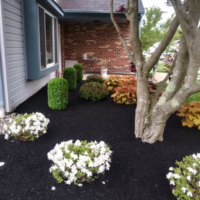 Mulching by Chek'Rd Lawn Service reviewed on December 2, 2021