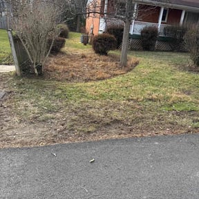 Leaf Removal by Elite Lawn Care reviewed on April 22, 2022