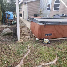 Leaf Removal by Beyond Clean reviewed on December 9, 2024