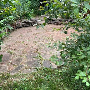 Bush Trimming by Mendoza lawn services reviewed on July 16, 2021