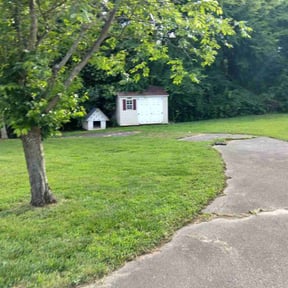 Cleanups by Signature Lawn Care LLC. reviewed on June 27, 2022