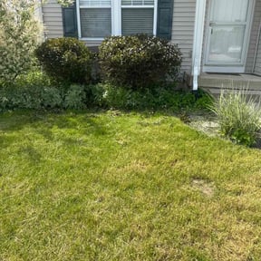 Bush Trimming by K.W My Angel Cleaning & Landscaping reviewed on July 3, 2022