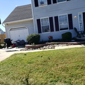 Bush Trimming by Williams pressure wash and lawnservices reviewed on May 9, 2022