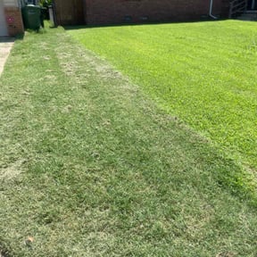 Cleanups by Swamp creek reviewed on August 5, 2025