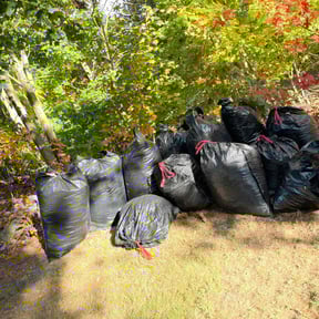 Leaf Removal by Gregory Lawn Service LLC reviewed on April 24, 2020