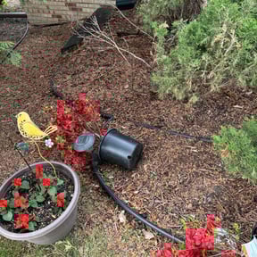 Flower Bed Weeding by Green Leaf Lawn Service reviewed on November 12, 2024
