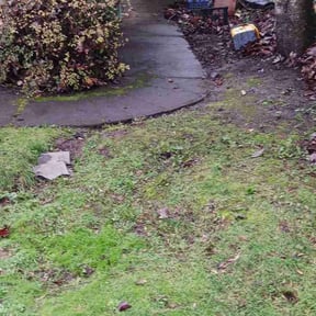 Leaf Removal by Complete Lawn Care reviewed on November 25, 2024