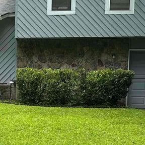 Bush Trimming by 30DollarCuts reviewed on March 25, 2022