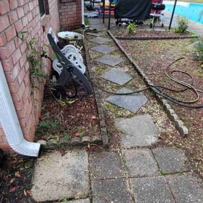 Leaf Removal by LaserEdge Mowing reviewed on June 2, 2022