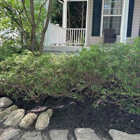 Cleanups by Three lawn care reviewed on August 2, 2022