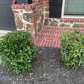 Bush Trimming by DDIY Landscaping and handyman services reviewed on April 28, 2020
