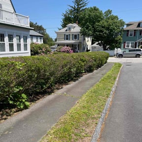 Bush Trimming by Jay's Property Management Lawn Tree Service reviewed on April 26, 2022